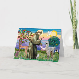 Carte Saint-Francis et Llama