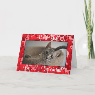 Carte Saint Kitten Valentine's Day (Animal Rescue)