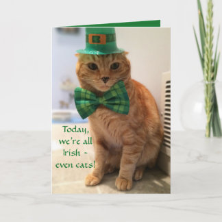 Carte Saint Patrick avec un chat mignon