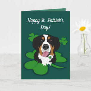 Carte Saint Patrick’s Day Bernese Mountain Dog