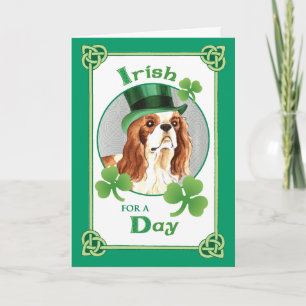 Carte Saint Patrick's Day Cavalier
