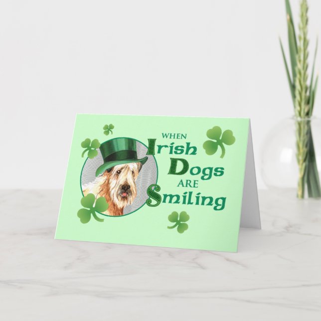 Carte Saint Patrick's Day Wheaten Terrier (Devant)