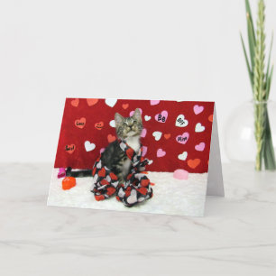 Carte Saint-Valentin Bandit - Chat / Kitten