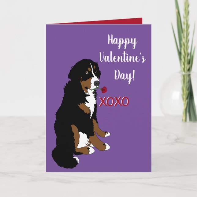Carte Saint Valentin Bernese Mountain Dog (Devant)
