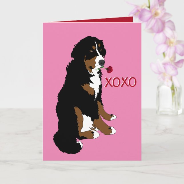 Carte Saint Valentin Bernese Mountain Dog (Orchidée)