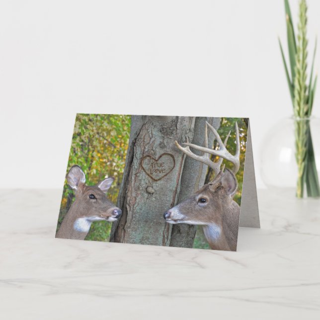 Carte Saint Valentin buck et faire avec coeur sur l'arbr (Devant)