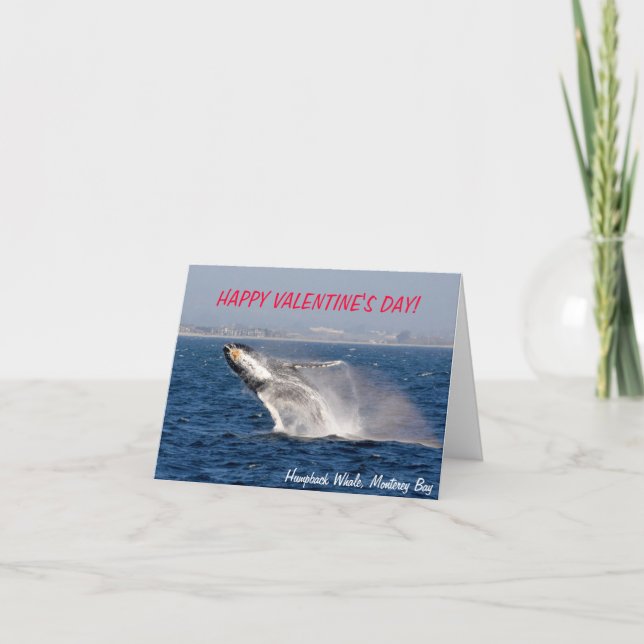 Carte Saint-Valentin de baleine à bosse (Devant)