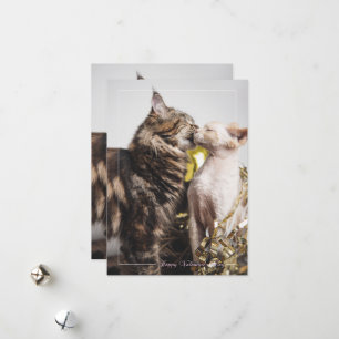 Carte Saint-Valentin "Deux Chats"