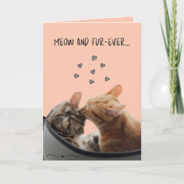 Carte Saint-Valentin, Meow et Fur-Ever