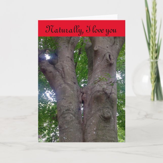 Carte Saint Valentin pour tous les amoureux de la  (Devant)