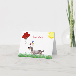 Carte Saint-Valentin Teckel à poil dur 