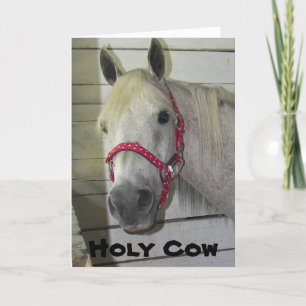 CARTE SAINTE VACHE JEUNE FILLÉE ***JOLIE ANNIVERSAIRE***