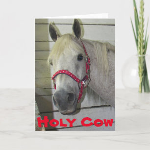Carte SAINTE VACHE JEUNE FILLY **60e ANNIVERSAIRE**