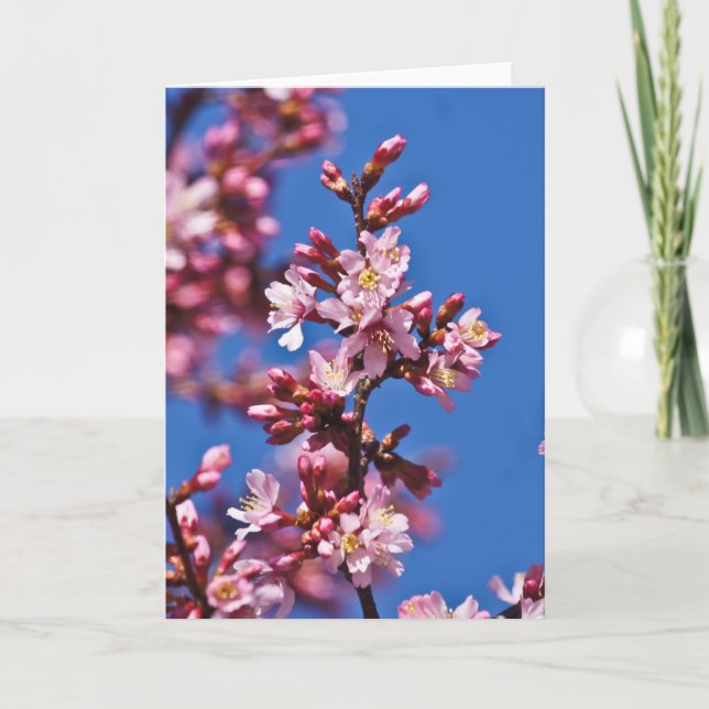 Carte Sakura Cerry Blossoms Touché Bleu (Devant)