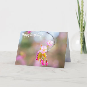 Carte Sakura Fleurit Sur Un Pourboire De La Brindille. H