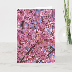 Carte Sakura Pink Cherry Blossom Sky