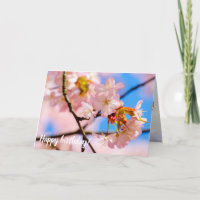 Sakura Rose Fleurs Lors D'Une Chaleureuse Journée 