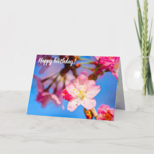 Carte Sakura Rose Vibrant Fleurit Et Ciel Bleu Clair