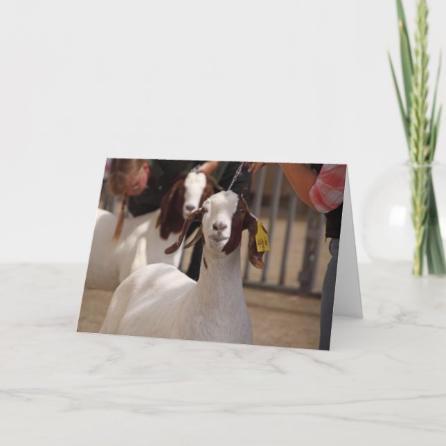 Carte Salon de chèvre (Devant)