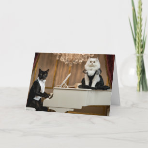 Carte Salon Duo de Chat Mignon de Vœux