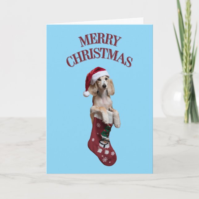 Carte Saluki Christmas Stocking (Devant)