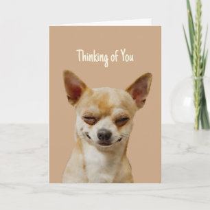 Carte Salut Bonjour Penser de vous drôle rire Chihuahua