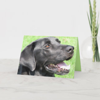 Carte Salutation