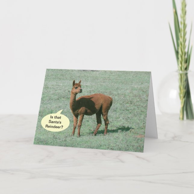 Carte - Salutation - Alpaca salutations (Devant)