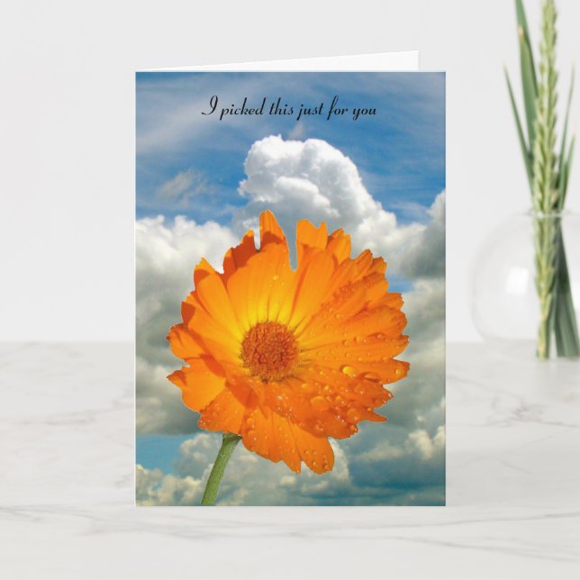 Carte - salutation - Calendula on Stem (Devant)