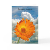 Carte - salutation - Calendula on Stem