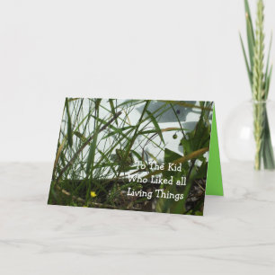 Carte Salutation d'anniversaire de la grenouille