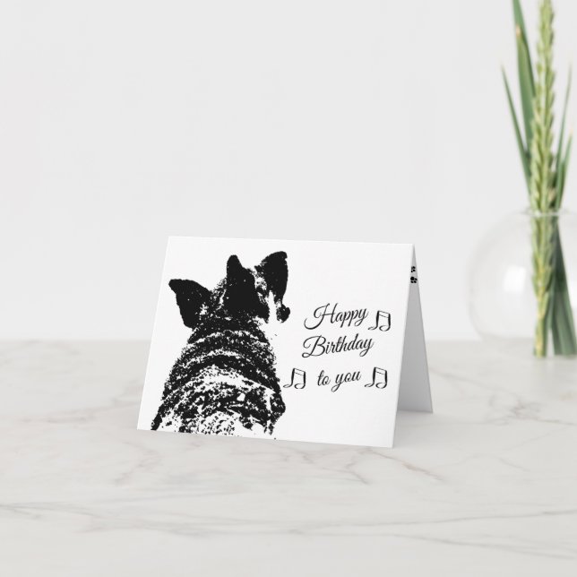 Carte Salutation d'anniversaire humoristique avec berger (Devant)