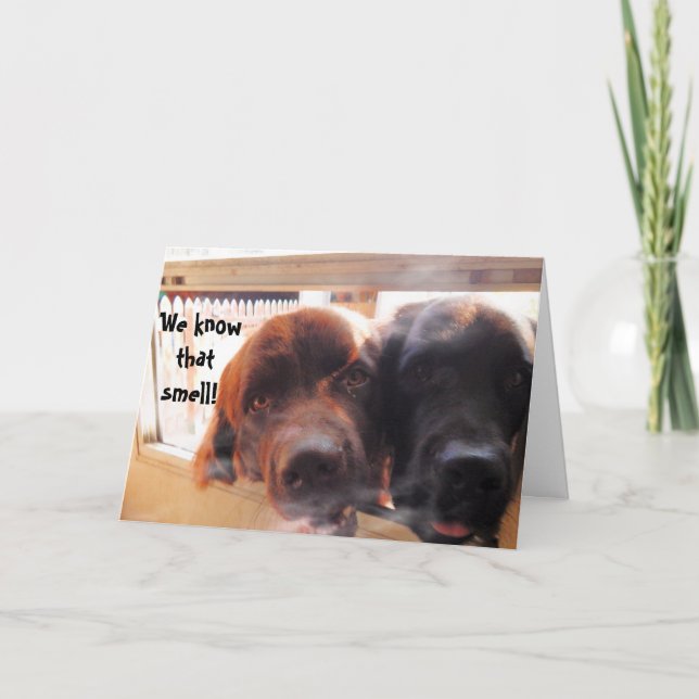 Carte Salutation d'anniversaire ~ Humour de chien (Devant)