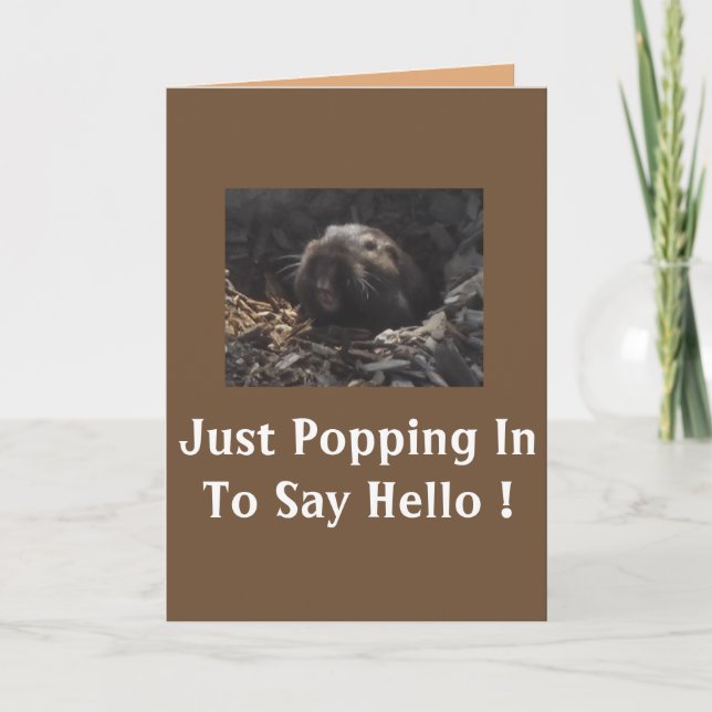 Carte Salutation de Gopher (carte) (Devant)