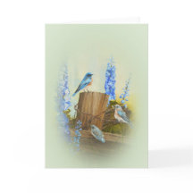 Salutation de la famille Bluebird