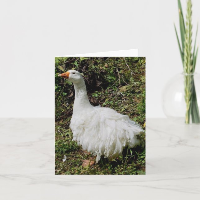 Carte Salutation Goosey (Devant)