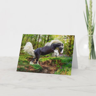 Carte Salutation "Show Off"