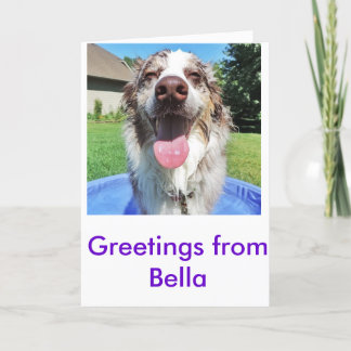 Carte Salutations de Bellatheaussie