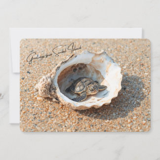 Carte Salutations de la Tortue marine de l'île de Sanibe