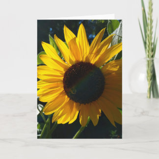 Carte Salutations de tournesol - Blanc à l'intérieur