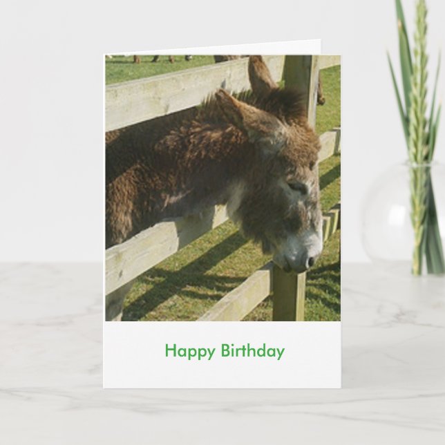 Carte Salutations Donkey (Devant)