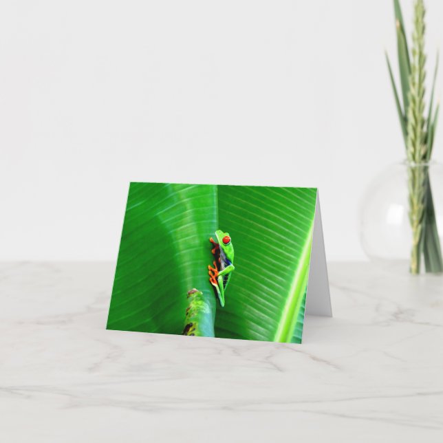 Carte Salutations d'une grenouille aux yeux rouges (Devant)