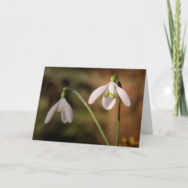 Carte Salutations Snowdrops (Devant)