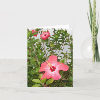 Carte Salutations tropicales
