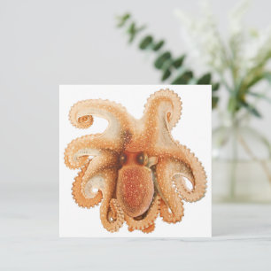Carte Salutii vintage, Animaux aquatiques marins