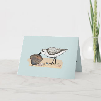 Carte Sanders Sanderling