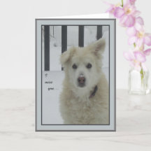 *Sandy Dog - Je Vous Manque