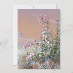 Carte Sans titre   Ponts Fidelia