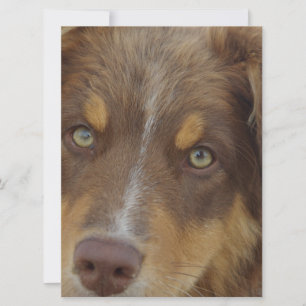 Carte saucisse rouge