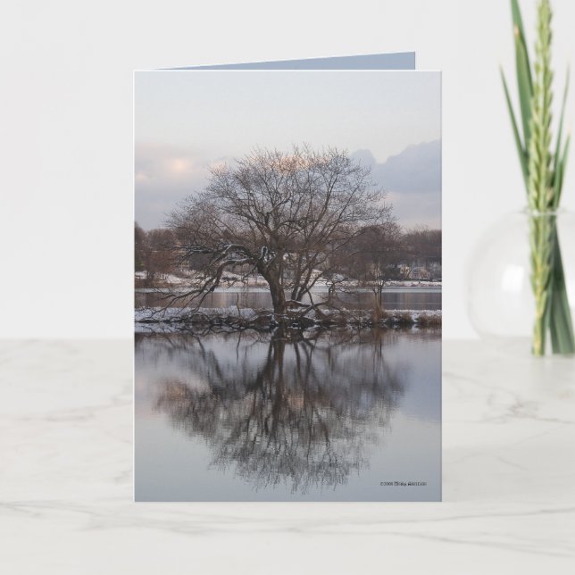 Carte Saule comme arbre du monde (Devant)